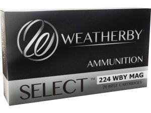 WEATHERBY 224WBY 55GR SPIRE POINT