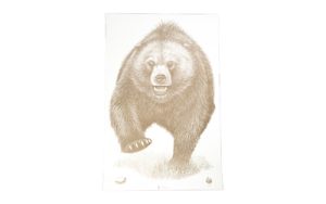 ACTION TGT AK STATE PARK BEAR 100PK